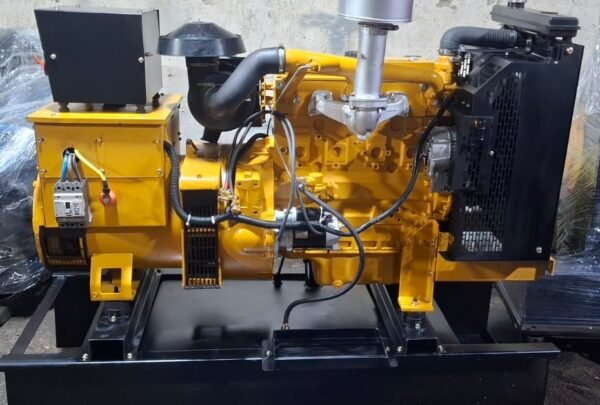 PERKINS 1004 / LEROY SOMER 50KVA